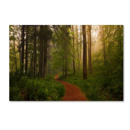 Leif Londal 'The Red Path ' Canvas Art,16x24